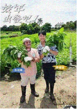 向往的生活7